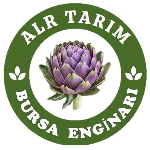 Bursa Enginarı
